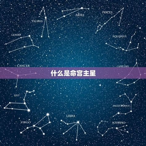 命之星查詢